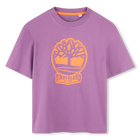 Two-tone T-shirt with logo, RASBERRY, hi-res