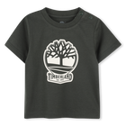 Short-sleeved T-shirt TIMBERLAND 
                    BOY