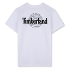 Short sleeve t-shirt TIMBERLAND 
                    BOY