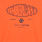 Long-sleeved jersey T-shirt TIMBERLAND 
                    BOY