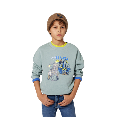 Brushed fleece sweatshirt TIMBERLAND BOY