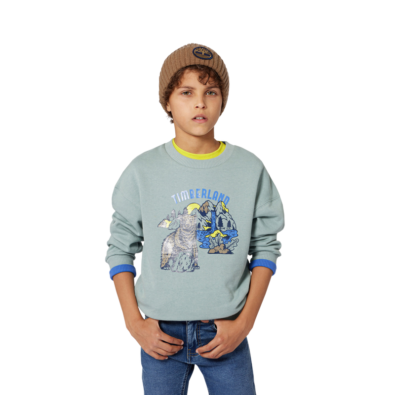 Brushed fleece sweatshirt TIMBERLAND 
                        BOY