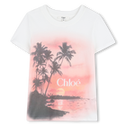 Short-sleeved t-shirt, PETAL PINK, hi-res