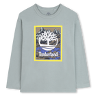 Long-sleeved jersey T-shirt TIMBERLAND 
                    BOY