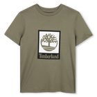 Short sleeve t-shirt TIMBERLAND 
                    BOY