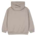 Hoodie DKNY 
                    BOY