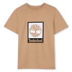 Short sleeve t-shirt TIMBERLAND 
                    BOY