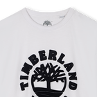 Short-sleeved T-shirt TIMBERLAND 
                    BOY