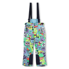 Ski pants BILLIEBLUSH 
                    BOY
