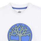 Short-sleeved jersey T-shirt TIMBERLAND 
                    BOY