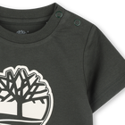 Short-sleeved T-shirt TIMBERLAND 
                    BOY