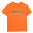 Short sleeve t-shirt, FIRECRACKER, hi-res