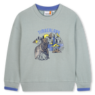 Brushed fleece sweatshirt, SILVER BLUE, hi-res