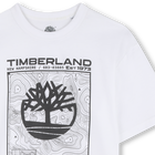 Short-sleeved t-shirt TIMBERLAND 
                    BOY
