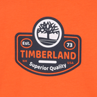 Long-sleeved T-shirt TIMBERLAND 
                    BOY