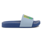 Printed slides BILLIEBLUSH 
                    BOY