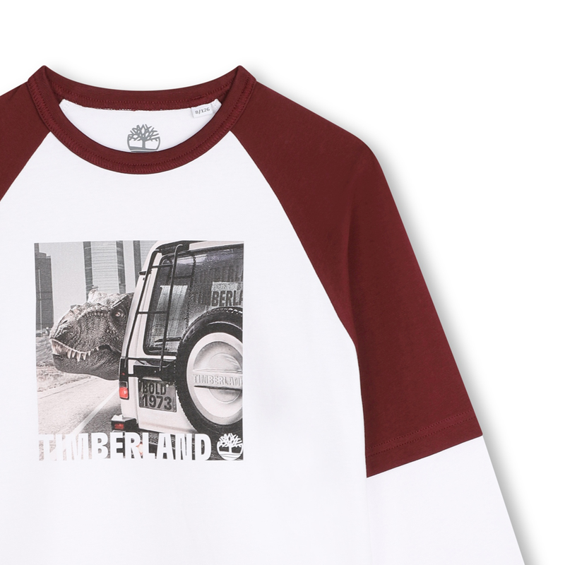 Two-tone T-shirt with print TIMBERLAND 
                        BOY