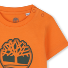 Short-sleeved T-shirt TIMBERLAND 
                    BOY