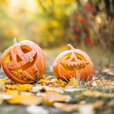 The Jack-O’-Lantern: a DIY project for the whole family